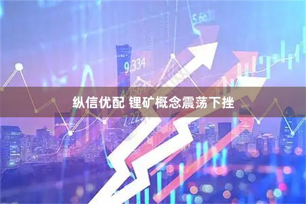 纵信优配 锂矿概念震荡下挫