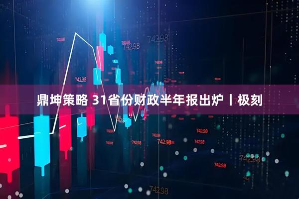 鼎坤策略 31省份财政半年报出炉丨极刻